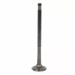 Деталь VALVE - EXHAUST 1S6Z-6505-A FORD