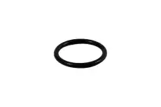 Кольцо уплотнительное автомобильное CASE IH 14463680