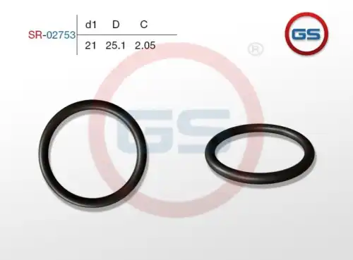  SR-02753 РЕЗИНОВОЕ КОЛЬЦО 21x2.05 GS