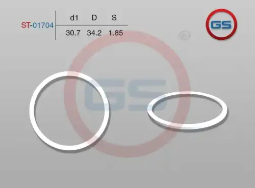 ТЕФЛОНОВОЕ КОЛЬЦО ST-01704 GS