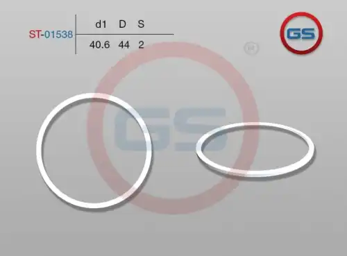  Тефлоновое кольцо ST-01538 GS