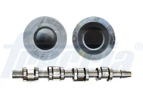 Распредвал FRECCIA CM05-2181