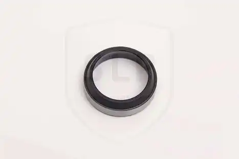 OIL SEAL PB-869 SLP