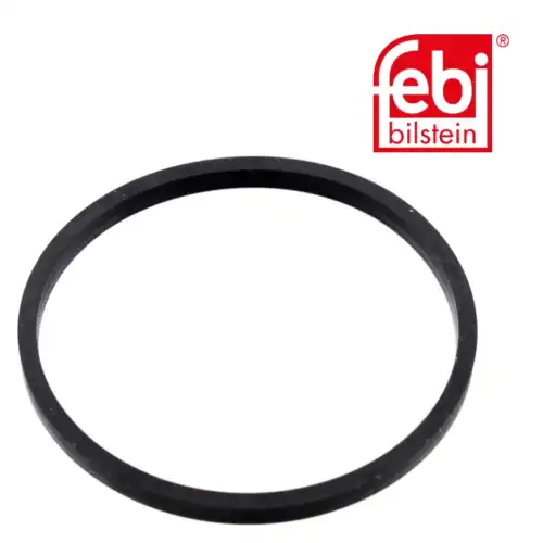 Sealing Ring for thermostat 100055 FEBI