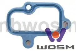 Прокладка коллектора WOSM B171