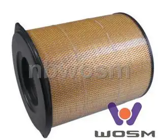 Фильтр воздушный WOSM A071