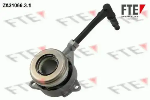 FTE ZA3106631