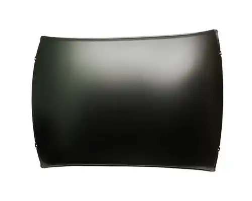 КРЫША КУЗОВА COROLLA 06- L021021500 SAILING