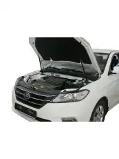 Амортизатор капота RIVAL A.ST.3302.1