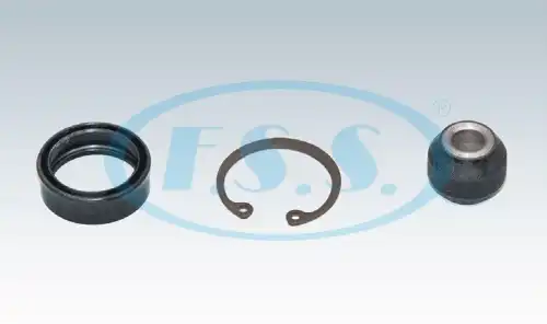 Ремкомплект 03355012 F.S.S.