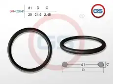 SR-02841 Резиновое кольцо 20 2.45 GS