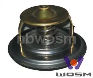 Термостат системы охлаждения WOSM C062