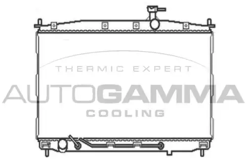 Радиатор системы охлаждения двигателя AUTOGAMMA 104644