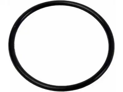 Уплотнение термостата/SEALFPMP HSGO RING 12602379 CHEVROLET