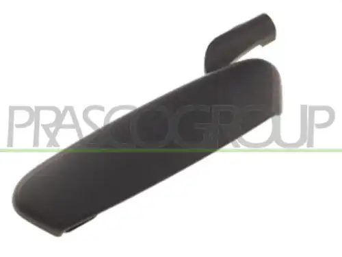 Ручка двери PRASCO FT1338202