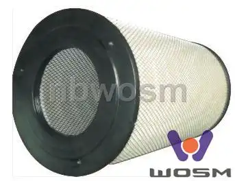 Фильтр воздушный WOSM D012