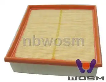 Салонный фильтр WOSM A160