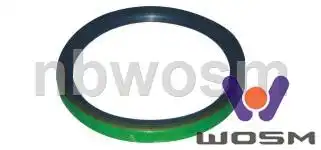 Сальник SCA 145х170х15/20 C224 WOSM