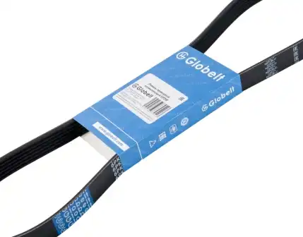 GLOBELT 6PK890