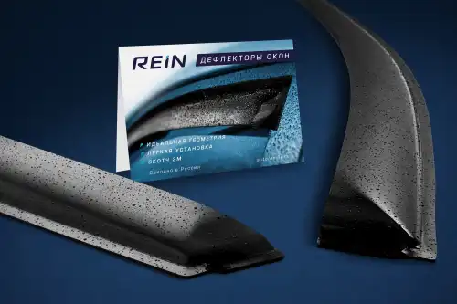 Защита фар REIN REINAS810