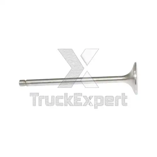 Клапаны ГРМ 114 66 002 TRUCKEXPERT