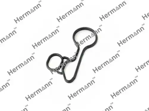  HR0650037 ПРОКЛАДКА HERMANN