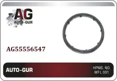  НАБОРЫ ПРОКЛАДОК GM AG55556547 AUTO-GUR