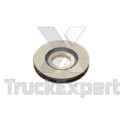 ШАЙБА 252 44 051 TRUCKEXPERT