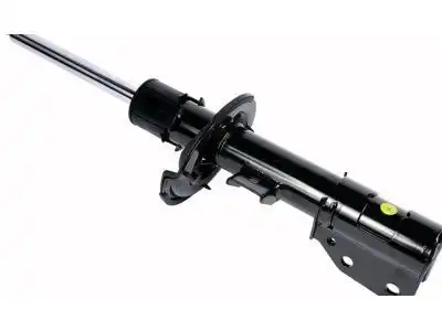 амортизатор 22872083 GM