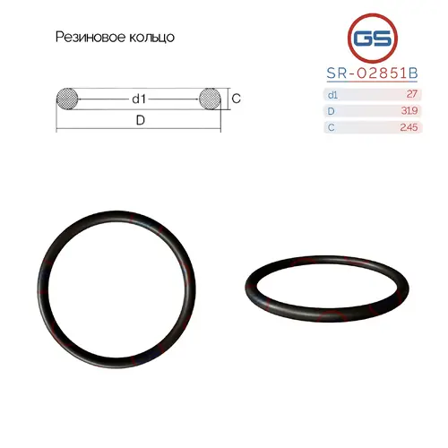 Резиновое кольцо SR-02851B GS