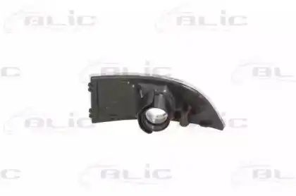 Side mirror indicator 540309052107P BLIC