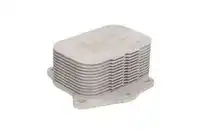Масляный радиатор THERMOTEC D4P001TT