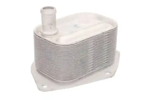 Масляный радиатор THERMOTEC D405004TT