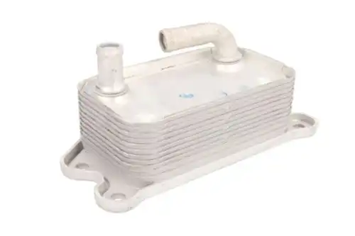 Масляный радиатор THERMOTEC D4V006TT
