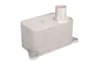 Масляный радиатор THERMOTEC D4A006TT