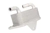 Масляный радиатор THERMOTEC D4A008TT