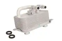 Масляный радиатор THERMOTEC D4B003TT
