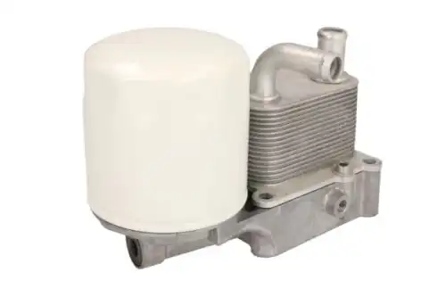 Масляный радиатор THERMOTEC D4G006TT