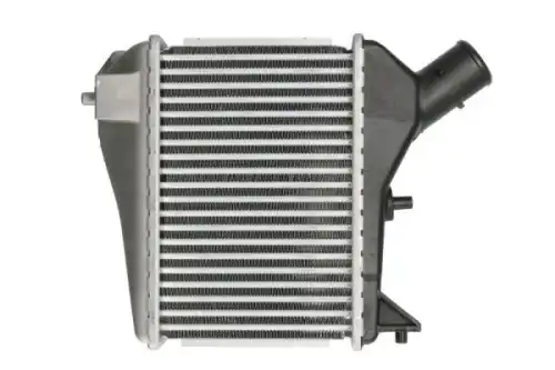 Патрубок воздушного радиатора DCH002TT THERMOTEC