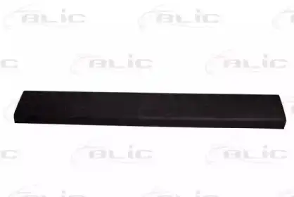 5508002092971P Полосы/молдинги для отделки BLIC