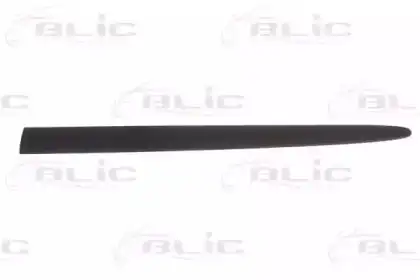 Полосы/молдинги для отделки 5703042045571P BLIC