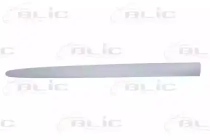 Полосы/молдинги для отделки 5703042045575P BLIC