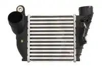 Интеркулер THERMOTEC DAA008TT