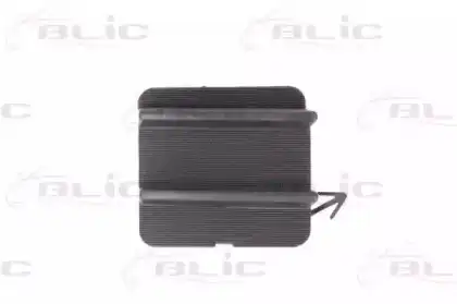 Элементы бампера 5513001610920Q BLIC