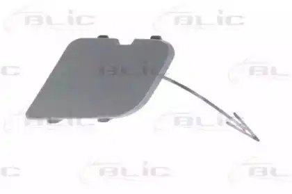  покрытие буфера 5513002583925Q BLIC