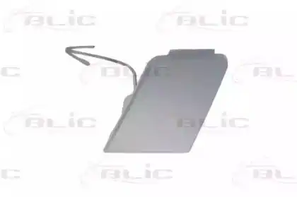 5513009548922Q Заглушка бампера BLIC