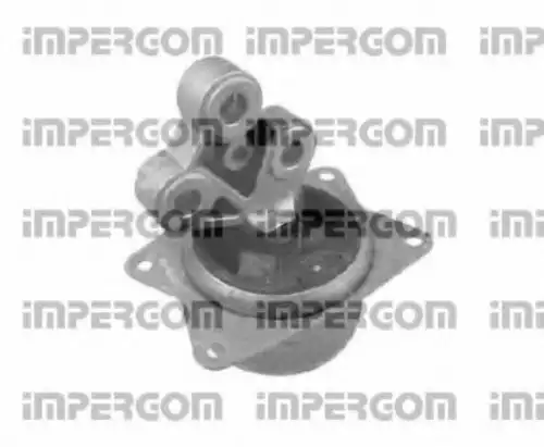 Подвеска, двигатель 25901 IMPERGOM