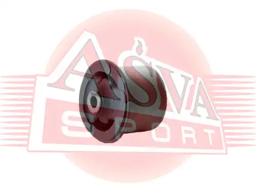 ASVA 101457