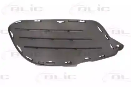 Элементы бампера 5513003529911P BLIC