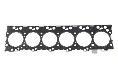 Прокладка ГБЦ CASE IH 2830922